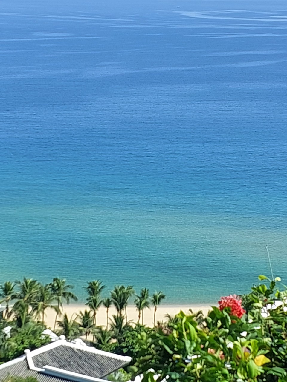 Thư viện hình ảnh-8