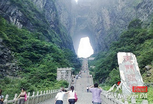 Thư viện hình ảnh-