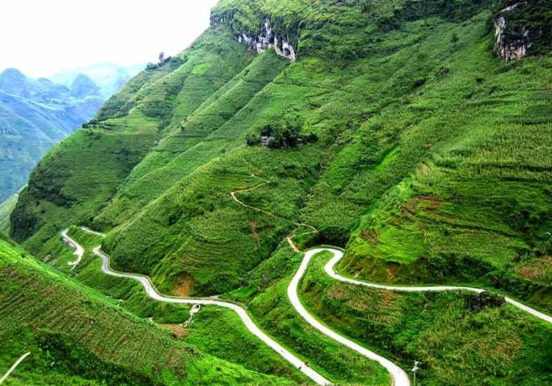 Thư viện hình ảnh-10